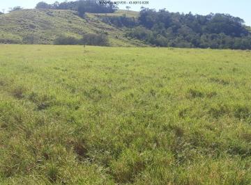 Rural · Sítio - Jacarezinho