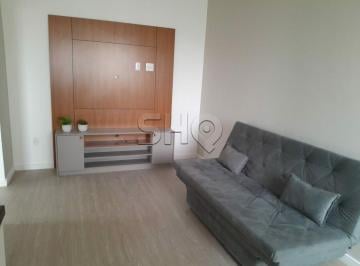 49830_id3j1c_498306668e0e69f99c.jpg · Imoveis - em Santa Cecília