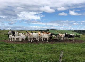 1aff4e484a2b98ca07eed02741c04d1d499e435d · Fazenda à venda, 87 Alqueires por R$ 22.000.000 - Alambari/SP