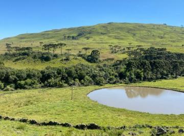 Rural de 2 quartos, São Joaquim · Terreno em São Joaquim – 9,8 Hectares na Vila Pericó, Próximo ao Asfalto.