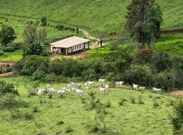 Foto 01 · Fazenda 60 hectares riquíssima em água, toda formada e com sede centenária à venda em Entre Rios/MG