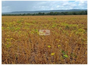 a95f332bc00ab0b00a8ba226def6685f.jpg · Fazenda com 7.000 hectares, com 500 hectares abertos