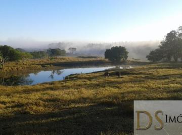 Foto 01 · Sítio na cidade de Porto Feliz/SP, com 3,3 alqueires, água, luz, lago, campo de futebol, casa de cas