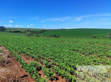 Foto 01 · EXCELENTE FAZENDA COM 90 ALQUEIRES A VENDA EM PIRAJU-SP, TOPOGRAFIA PLANA A SEMIPLANA, TERRA ROXA E 