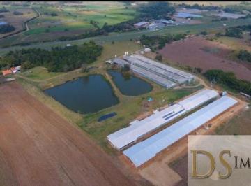Foto 01 · SÍTIO COM GRANJA MODERNA A VENDA EM CESÁRIO LANGE/SP, ÁREA COM 8 ALQUEIRES, 6 BARRACÕES MODERNOS, GR