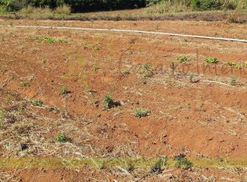 Foto 22 · Terreno - Ivoturucaia