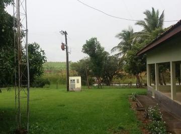 20230925135730122540.jpg · Fazenda para Venda em Santa Fé do Sul, Zona Rural