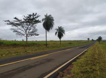 20230925143143188272.jpg · Fazenda para Venda em Presidente Epitácio, Zona Rural