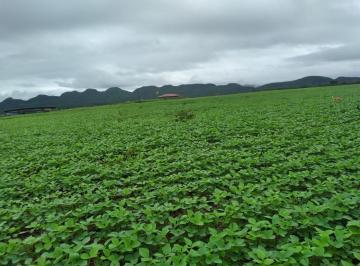 20231006144042984388.jpg · Fazenda para Venda em Niquelândia, Zona Rural