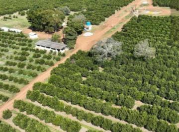 20231016193306897552.jpg · Fazenda para Venda em Angatuba, Zona Rural