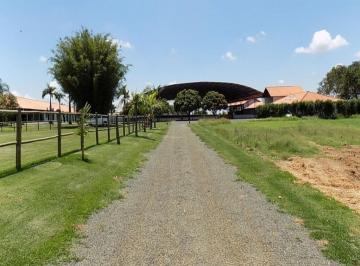 20231017140628296382.jpg · Haras para Venda em Quadra, Zona Rural