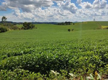 20231017145954247050.jpg · Sítio para Venda em São Miguel Arcanjo, Zona Rural