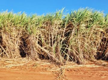 20231019092934732124.jpg · Fazenda para Venda em Icém, Zona Rural