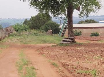 20231019142836183112.jpg · Fazenda para Venda em Palestina, Zona Rural