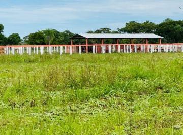 20231020152802504779.jpg · Fazenda para Venda em Coxim, Zona Rural