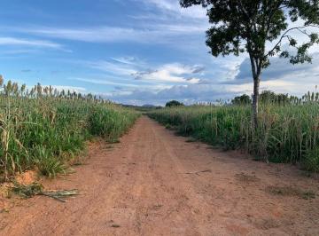 20231021133801332495.jpg · Fazenda para Venda em Monte Alegre de Goiás, Zona Rural