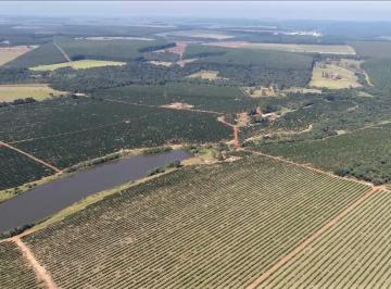 202310191415236670.jpg · Fazenda para Venda em São Manuel, Área Rural de Aparecida de São Manuel