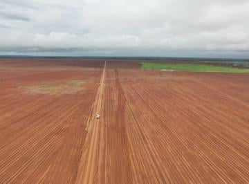 20231026122232558452.jpg · Fazenda para Venda em Pedro Afonso, Zona Rural