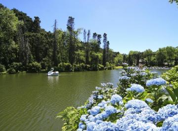 926189.jpg · Apartamento 3 Dorm - Bairro Lago Negro