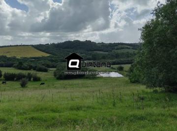 Rural · 120000m² · Vendo sítio 12 hectares no Morro Redondo