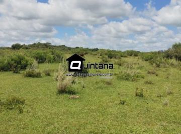 Rural · 2300000m² · Fazenda 230 hectares em Pratini