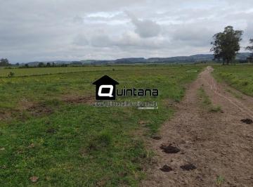 Rural · 660000m² · 3 Quartos · 1 Vaga · venda 66 hectares à 17km de Pelotas, porteira fechada