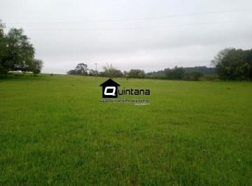 Rural · 500000m² · Vendo 50 hectares nas margens da BR 392