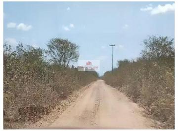 1f9228d85bf1c29a72c2d0bf6e4c0232.jpg ·  Fazenda com 4000 hectares, dupla aptidão, terra bruta