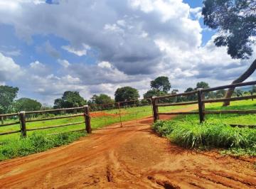 20231102140838342672.jpg · Fazenda para Venda em Brasilândia de Minas, Zona Rural