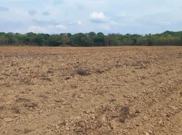 20231102153855616266.jpg · Fazenda para Venda em Paracatu, Área Rural de Paracatu