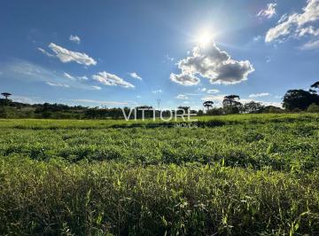 Rural · 2000m² · Chácara no Miringuava / Campo Largo da Roseira