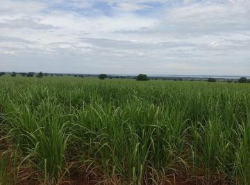 Foto 01 · EXCELENTE FAZENDA COM CANA EM PANORAMA-SP ?? Área Total 272 Alqueires 80% em Cana Restante Rese