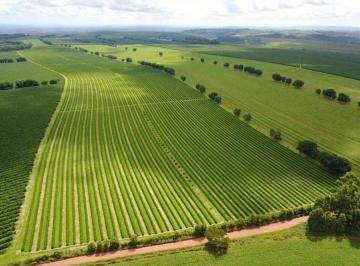2023021719594797529.jpg · Fazenda para Venda em Novo Cruzeiro, Zona Rural