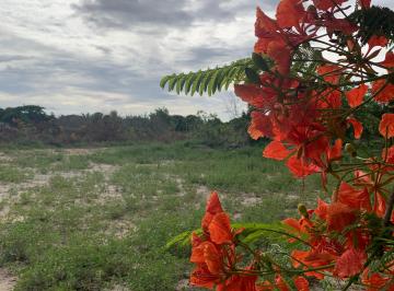 Terreno , Porto Seguro · Lote próximo à praia em Porto Seguro