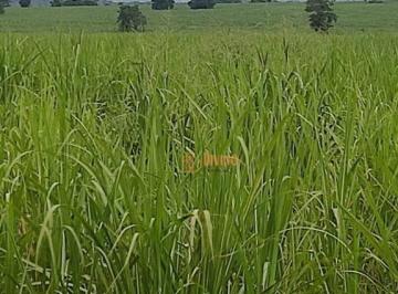 451094d453ed985e4f77986462e8432caa05dc45 · Fazenda de Cana-de-Açucar à venda, 593 Alqueires por R$ 106.830.000 - Panorama - Panorama/SP