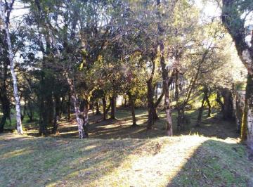 g1_2703_40379_1842_091023.jpg · TERRENO À VENDA NO CONDOMÍNIO FECHADO ALTOS PINHEIROS EM CANELA (RS)