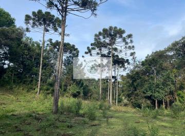 Rural · 32288m² · 1 Quarto · 1 Vaga · Sítio com 32.288 m², com nascente e riacho, próximo ao Sitio Cambará, escriturado