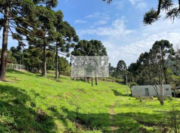 Rural · 6245m² · 1 Quarto · 1 Vaga · Sítio com 6.245,00 m², belas araucárias, lugar alto, com uma casa para reformar, documentado