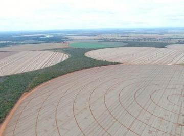 20230218090713229567.jpg · Fazenda para Venda em Paracatu, Zona Rural