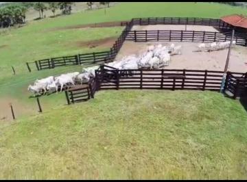 20230218110936615364.jpg · Fazenda para Venda em Ituiutaba, Zona Rural