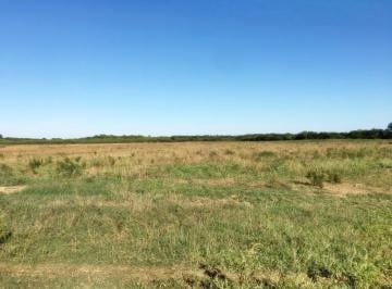 20230715140451345711.jpg · Fazenda para Venda em Januária, Zona Rural