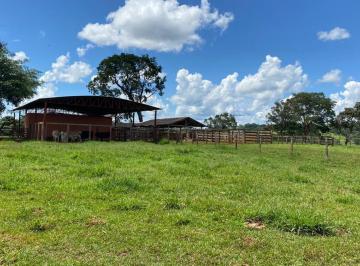 20230717121238372128.jpg · Fazenda para Venda em Prata, Zona Rural