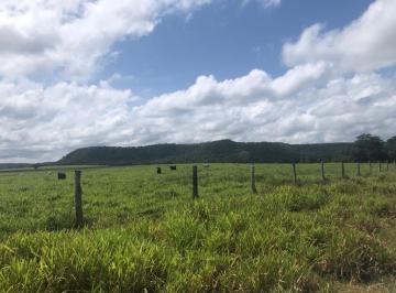 202605021629541006.jpeg · Fazenda para Venda em Barra do Ouro, Zona Rural