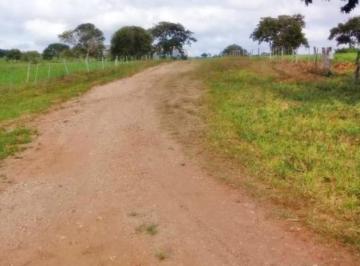 20230827125348279930.jpg · Fazenda para Venda em Marília, Zona Rural