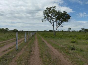 20230827151843809135.jpg · Fazenda para Venda em Conceição do Tocantins, Zona Rural