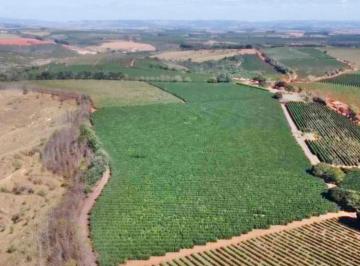 20230913184254359318.jpg · Fazenda para Venda em Franca, Zona Rural