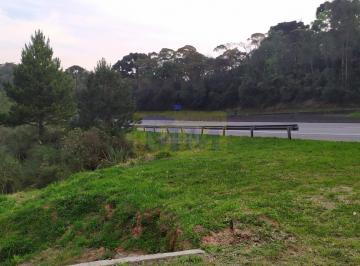 Rural · Chácara com 72.000m² no bairro Pinheirinho - CAMPINA GRANDE DO SUL / PR