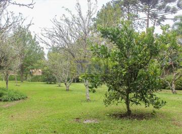 Terreno · 39051m² · Área à venda com 39.051m² no bairro Vila Fuck - PIRAQUARA / PR