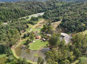 Rural · 420ha · 3 Quartos · Chácara com 3 dormitório à venda com 314600m² no bairro Pinheirinho - CAMPINA