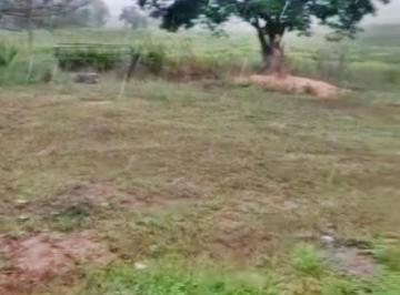20230924132402342323.jpg · Fazenda para Venda em Coxim, Zona Rural
